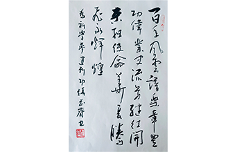 華夏騰飛永輝煌