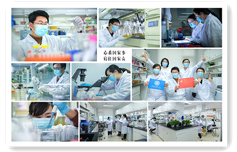 使命擔(dān)當(dāng)