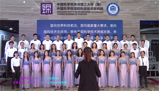 黨啊，親愛的媽媽