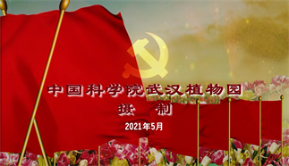 天下鄉(xiāng)親