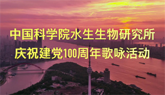 黨啊，親愛的媽媽