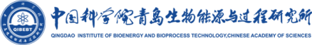中國(guó)科學(xué)院青島生物能源與過(guò)程研究所
