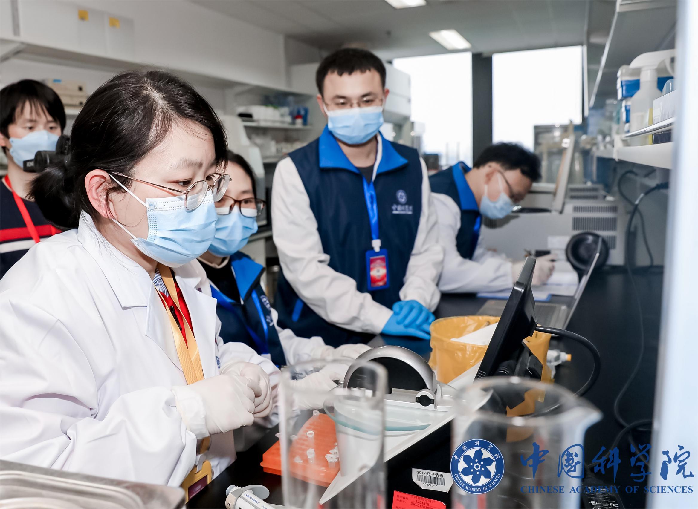 中國科學(xué)院上海賽區(qū)風(fēng)采展示