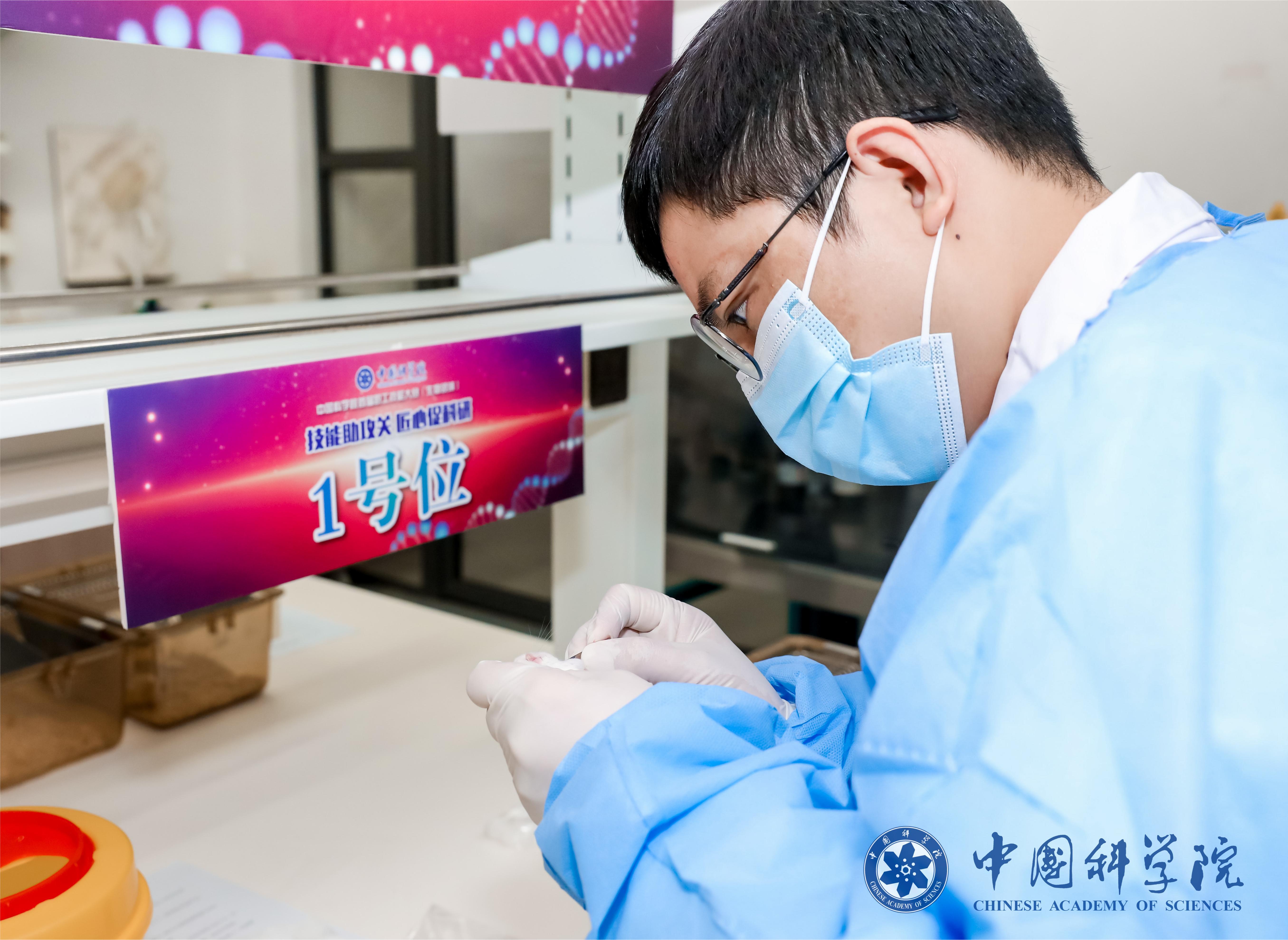 中國科學院上海賽區(qū)風采展示