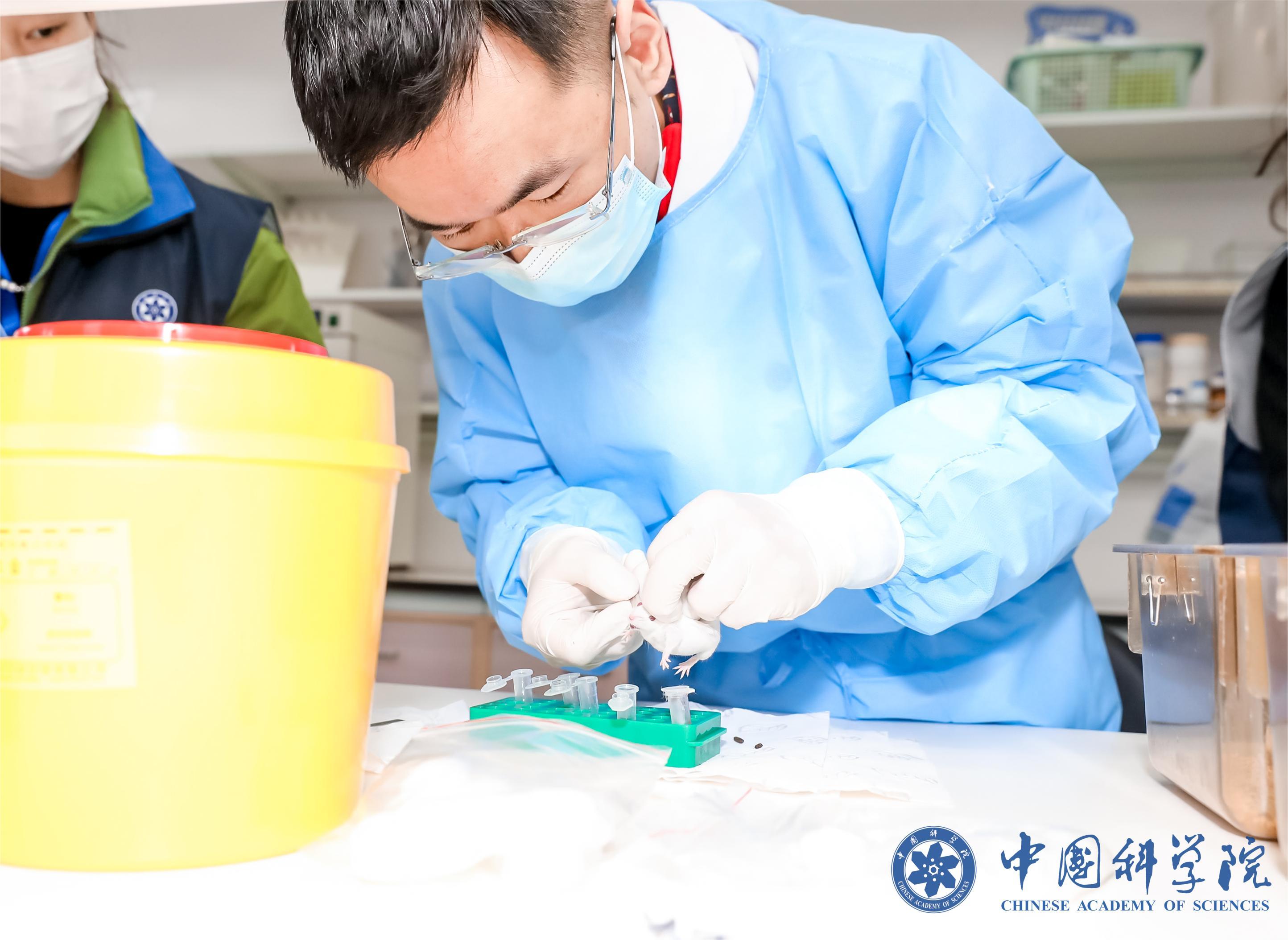 中國科學院上海賽區(qū)風采展示