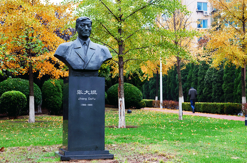 大連化學(xué)物理研究所化工化學(xué)領(lǐng)域風(fēng)采展示