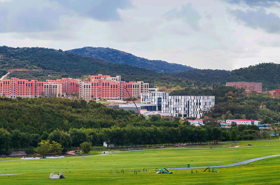 大連化學(xué)物理研究所化工化學(xué)領(lǐng)域風(fēng)采展示